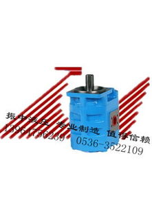 实惠可靠的高压齿轮油泵——振中液压机械厂专业供应青州液压油泵